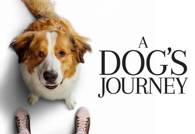 13 Film Tentang Anjing untuk Dog Lovers, Gemas dan Bikin Haru A Dog's Journey (2019)
