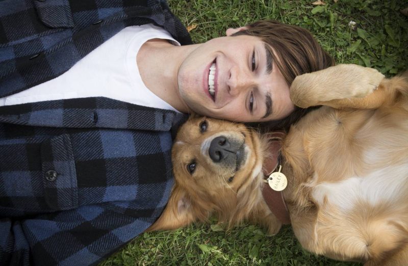 13 Film Tentang Anjing untuk Dog Lovers, Gemas dan Bikin Haru A Dog's Purpose (2017)