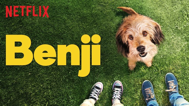 13 Film Tentang Anjing untuk Dog Lovers, Gemas dan Bikin Haru Benji (2018)