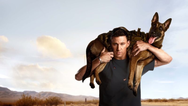 13 Film Tentang Anjing untuk Dog Lovers, Gemas dan Bikin Haru Dog (2022)