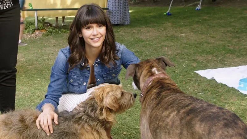 13 Film Tentang Anjing untuk Dog Lovers, Gemas dan Bikin Haru Dog Days (2018)