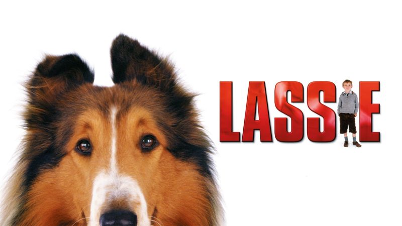 13 Film Tentang Anjing untuk Dog Lovers, Gemas dan Bikin Haru Lassie (2005)