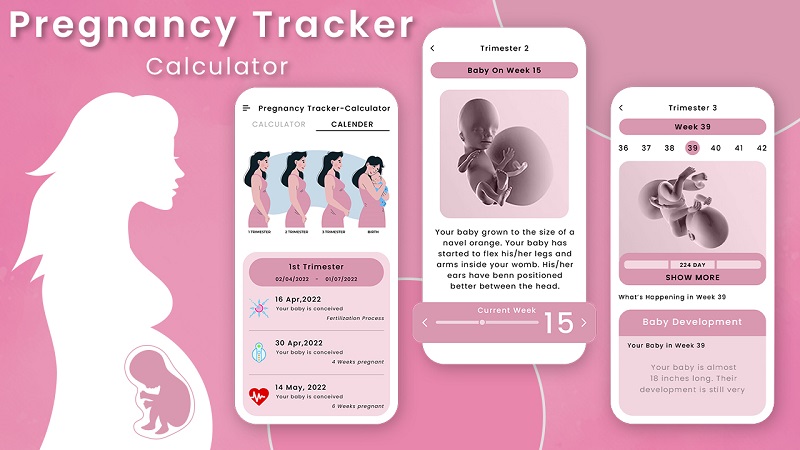 10 Aplikasi Kehamilan Terbaik 2024, Bumil Wajib Coba! Pregnancy Tracker