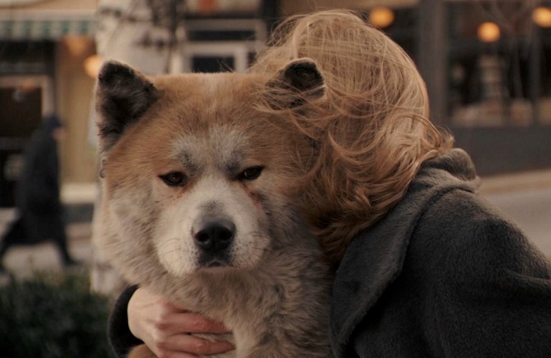 7 Film Sedih yang Sukses Bikin Mewek, Dijamin Tersentuh Hachiko